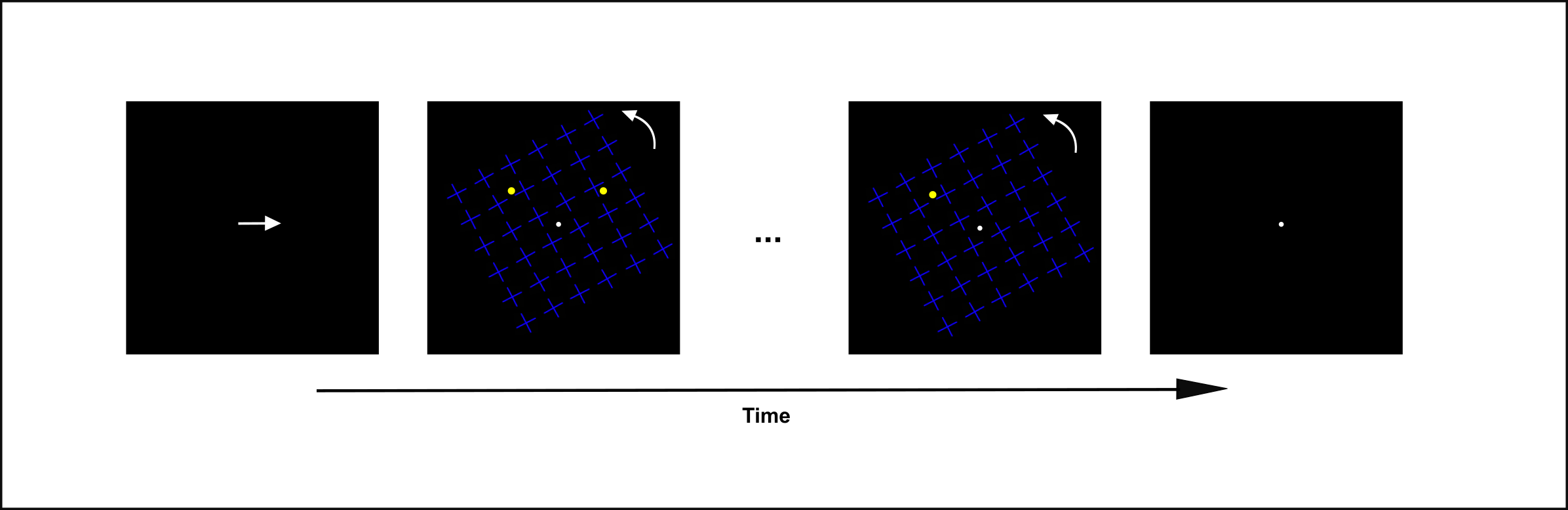 Testing attentional modulations of motion-induced blindness. A standard trial in Schölvinck and Rees’ study started with an arrow cueing attention to the left or the right. Then, two yellow dots and a grid of rotating blue crosses appeared. Participants must maintain fixation and press a key when they noted the disappearance of one of the dots. Redrawn from Journal of Vision 9(1), 38, Schölvinck, M. L., and Rees, G., “Attentional influences on the dynamics of motion-induced blindness,” 31-39, Copyright 2009, with permission from Association for Research in Vision and Ophthalmology.